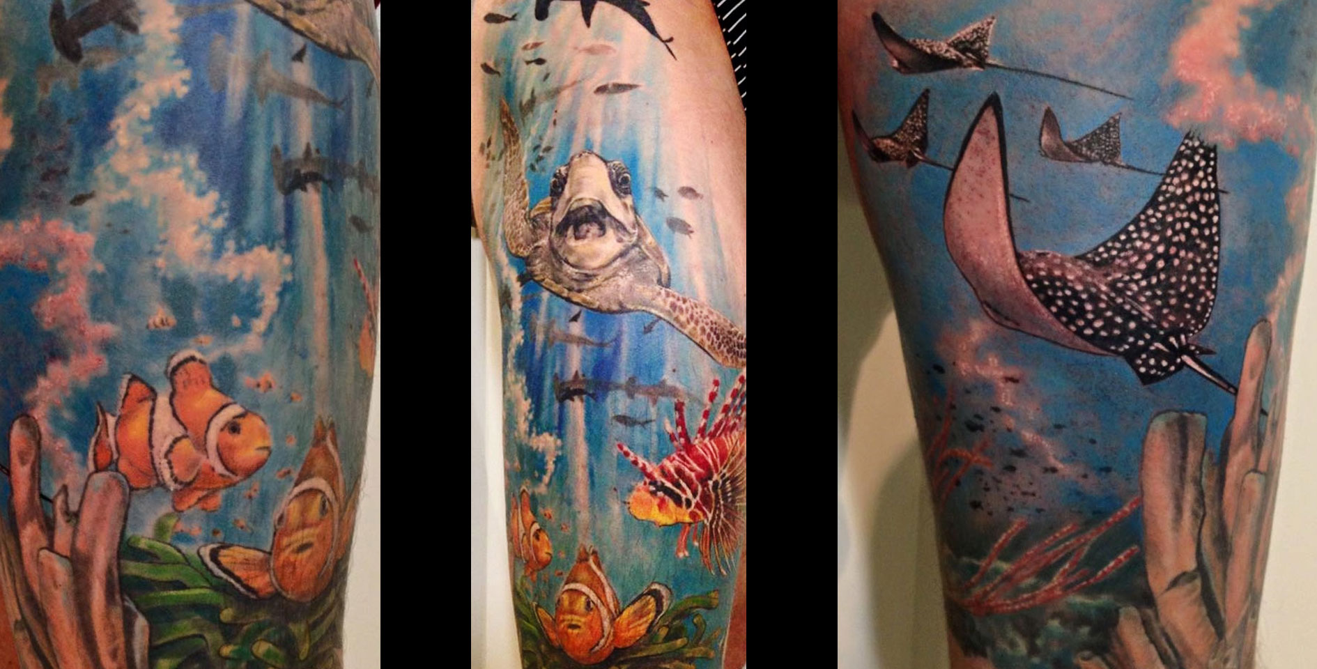 Tattoo Schildkröte, Farbe, Tattoo Studio Allgäu, Kempten, Memmingen, Sonthofen, Haldenwang, Tätowierer Allgäu, Beste Tätowiererin Allgäu, Kempten