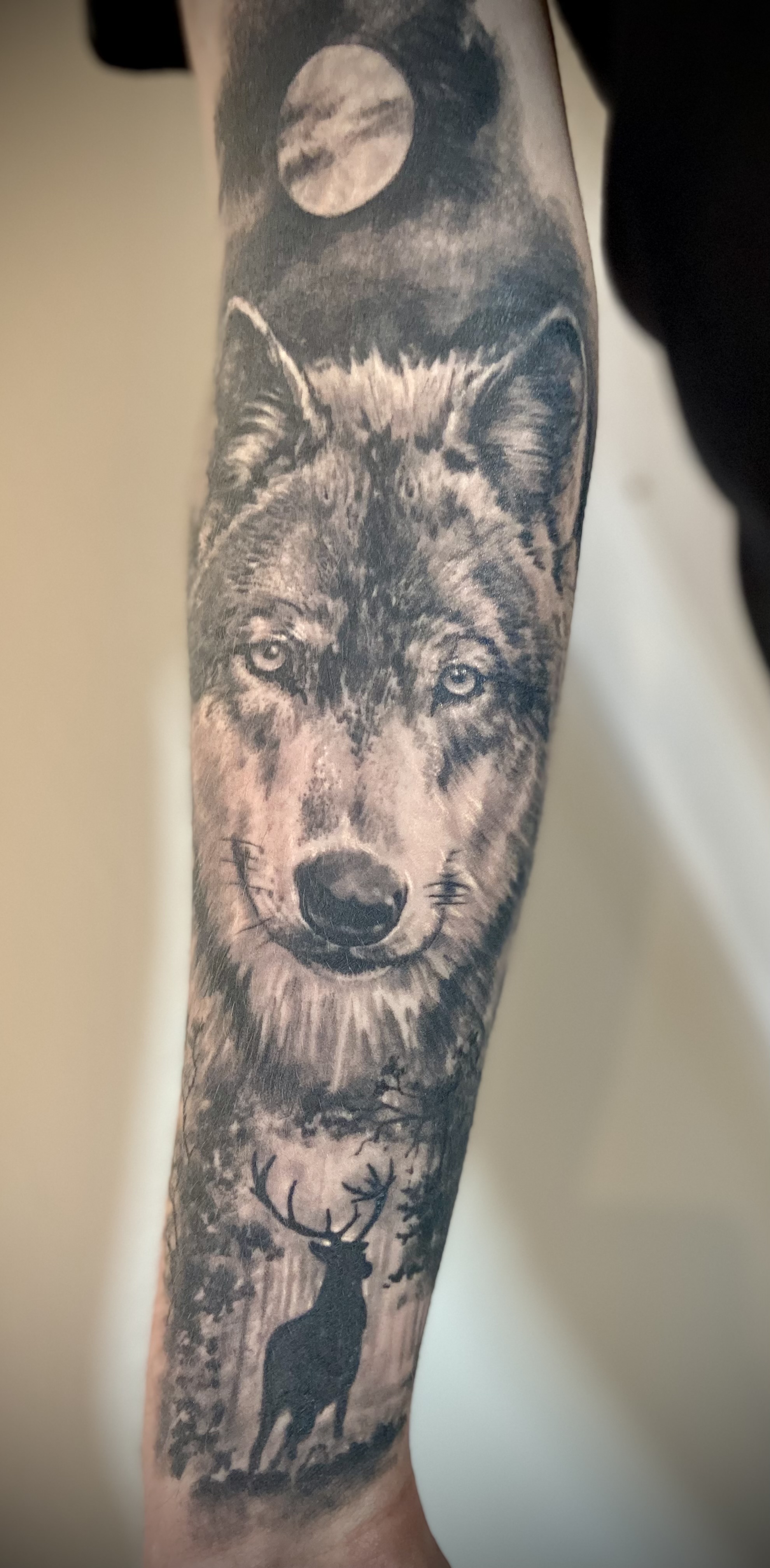 Tattoo Wolf, Tattoo Hirsch, Tattoo Studio Allgäu, Kempten, Memmingen, Sonthofen, Haldenwang, Tätowierer Allgäu, Beste Tätowiererin Allgäu, Kempten