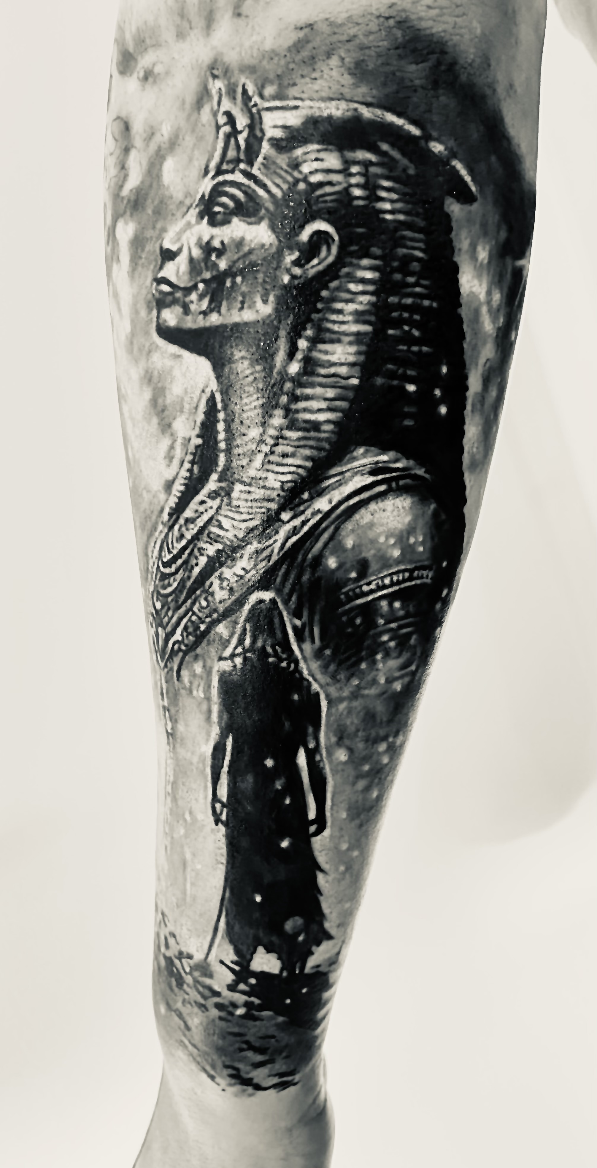 Tattoo Ägypten Sphinx, Tattoo Studio Allgäu, Kempten, Memmingen, Sonthofen, Haldenwang, Tätowierer Allgäu, Beste Tätowiererin Allgäu, Kempten